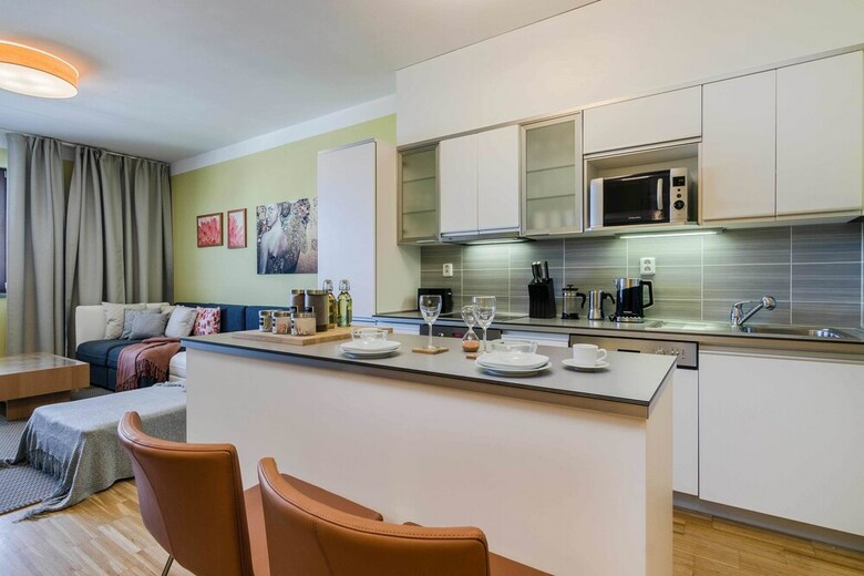 Luxury Center Apartment