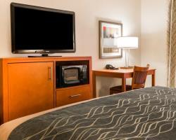 Hotel Comfort Inn Metro Airport