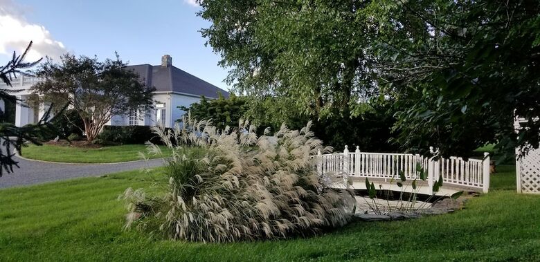 Bed & Breakfast Black Horse Inn