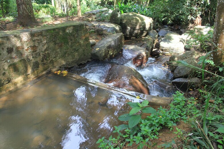 Hotel Jungle Tide Bungalow