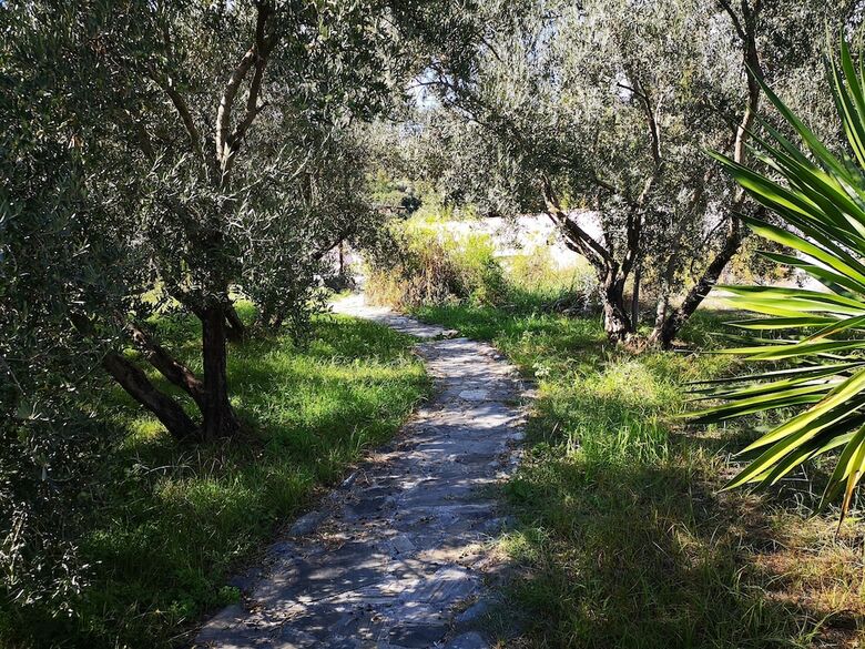 Agroturismo Cortijo El Nuevo Olivo