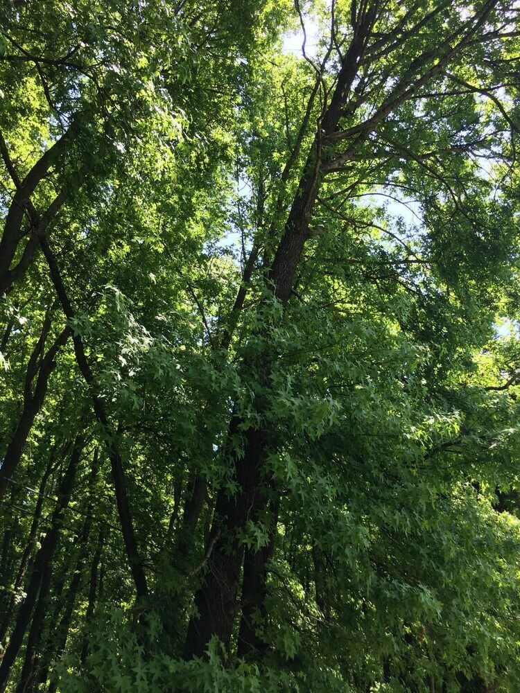 Ada Apart Otel Gocek