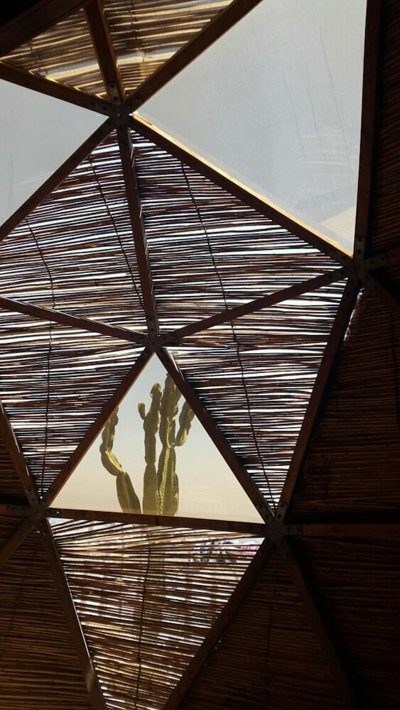 Hotel Dav Mahal Eco Lodge