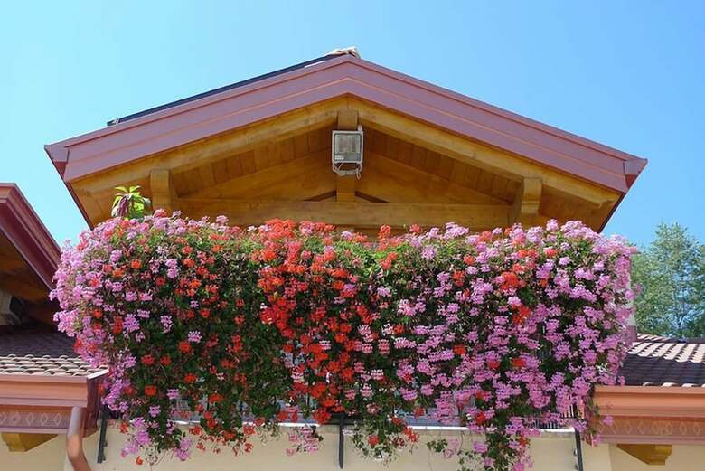 Agroturismo Agritur Vista Lago