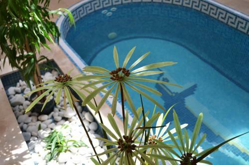 Hotel Les Feuilles D'acanthe