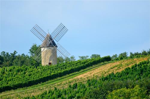 Hotel Les Feuilles D'acanthe