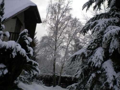 Bed & Breakfast Aux Marguerites