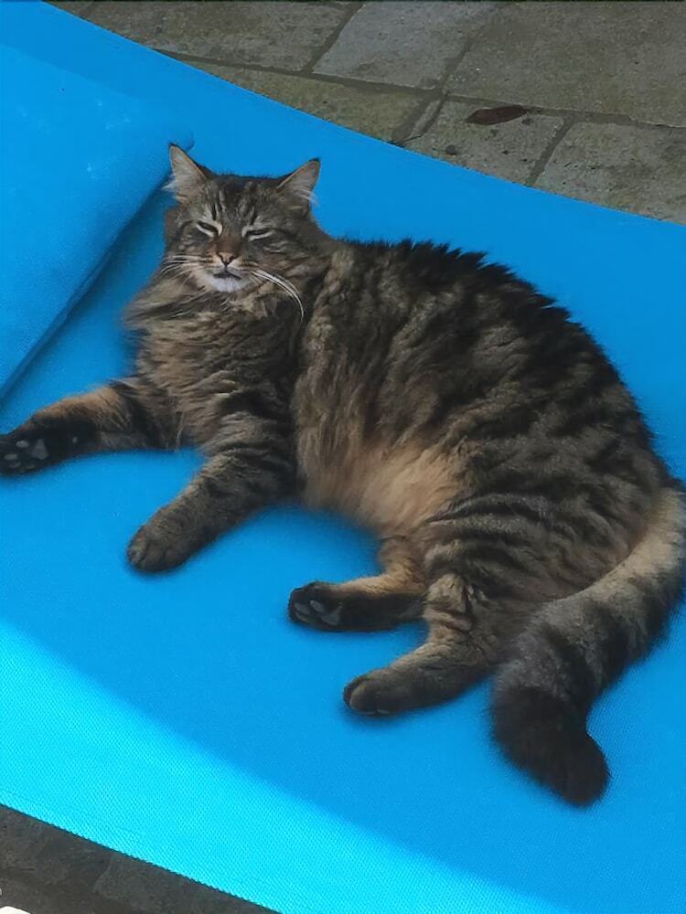 Bed & Breakfast Les Chambres D'hotes de Kersalic