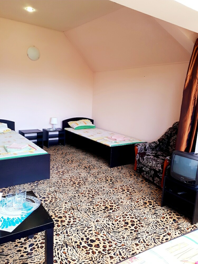 Hotel Rodnichok Guest House