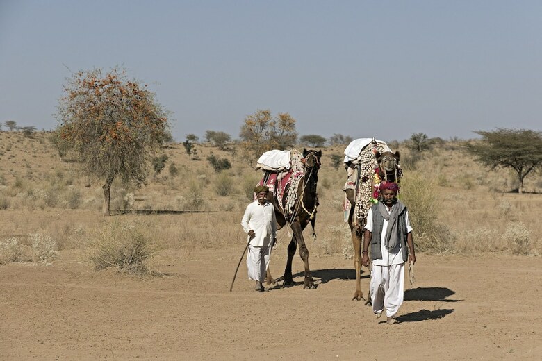 Manvar Resort & Tented Camp