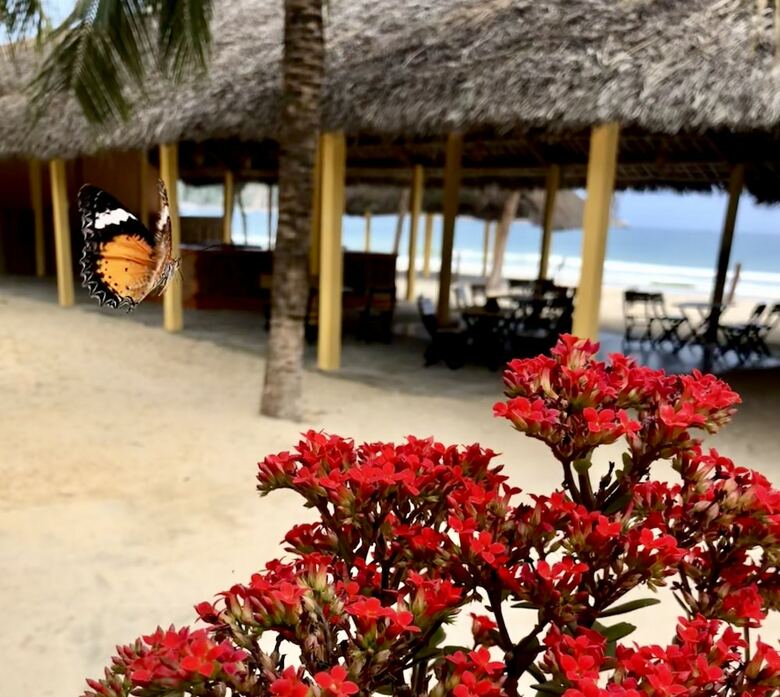 Hostal Ocean Beach Hostel