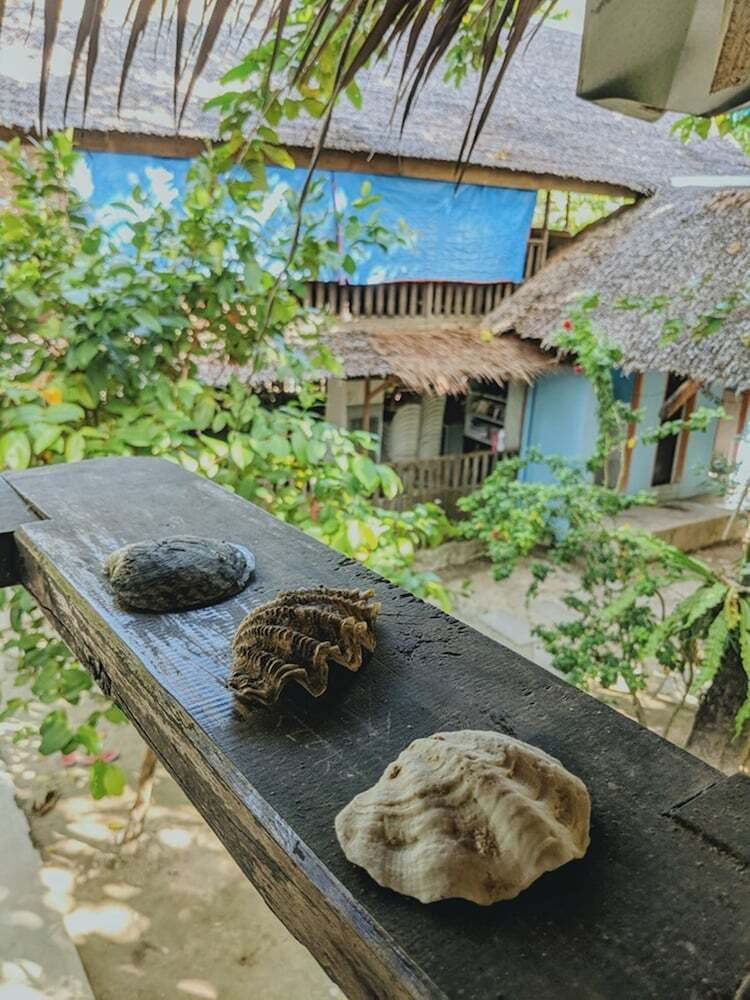 Bed & Breakfast Jing's Place Homestay Siargao