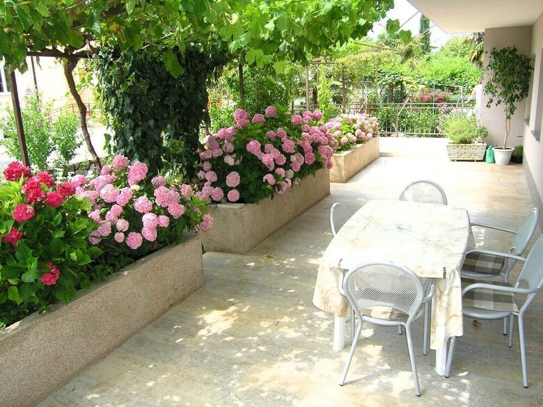 Apartment Lusic
