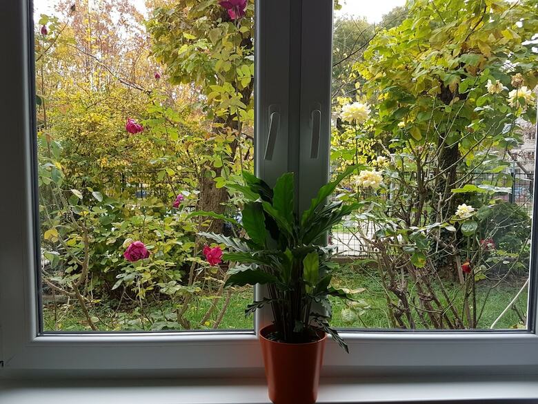 Apartment Relo