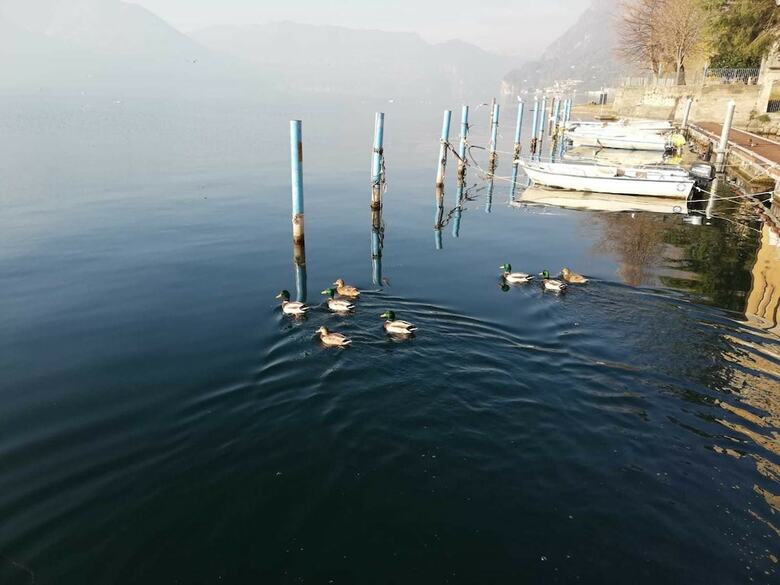 Apartamento In Riva Al Lago Marone