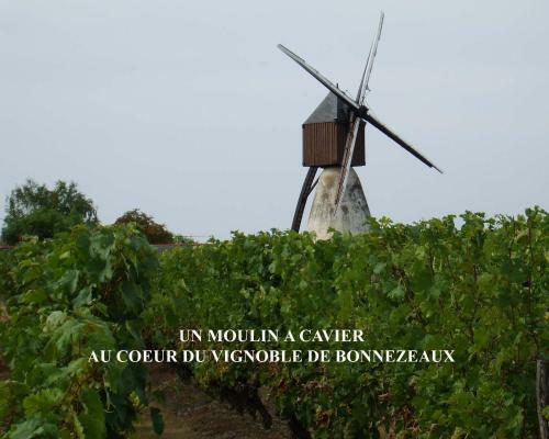 Bed & Breakfast Le Logis De Clope Chien