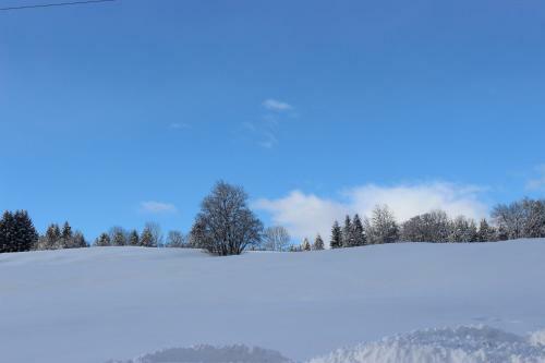 Le Chalet D'ulysse