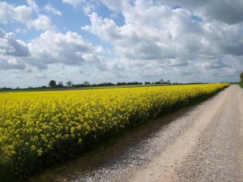 Bed & Breakfast Chambres Et Table D'h�tes Les Trois Marquets