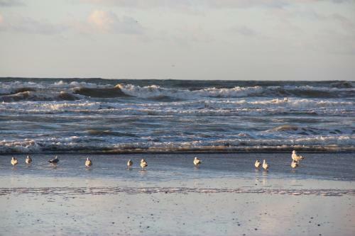Apartamento Appartement � Sainte-c�cile Plage
