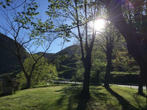Bed & Breakfast Auberge Du Col De Brouis