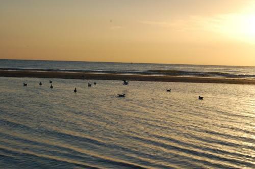 Apartamento Appartement Vivacances C�te D'opale (Ste-c�cile)