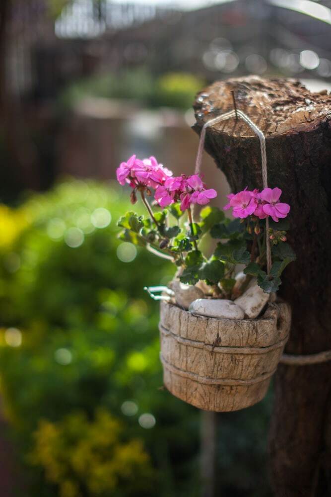 Garden Apart