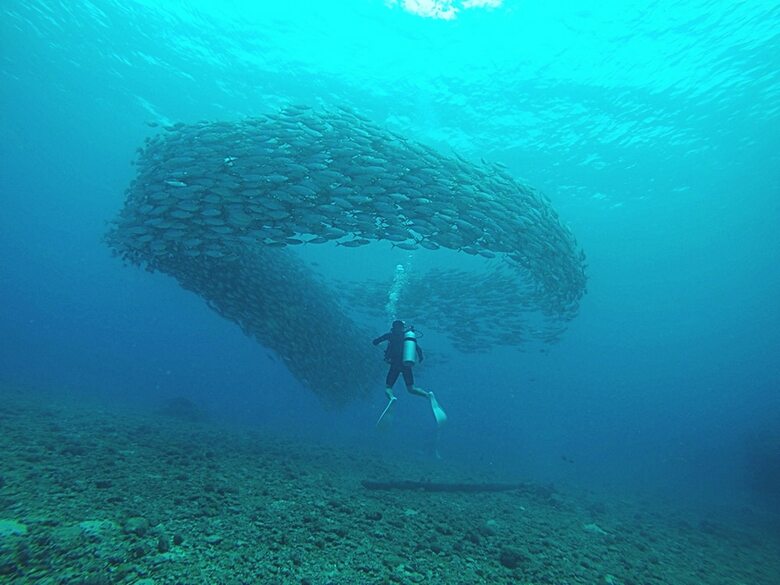 Hotel Saipan Marine Dive & Guest House