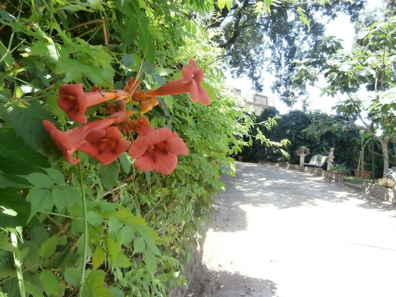 Bed & Breakfast Casale Villa Irina