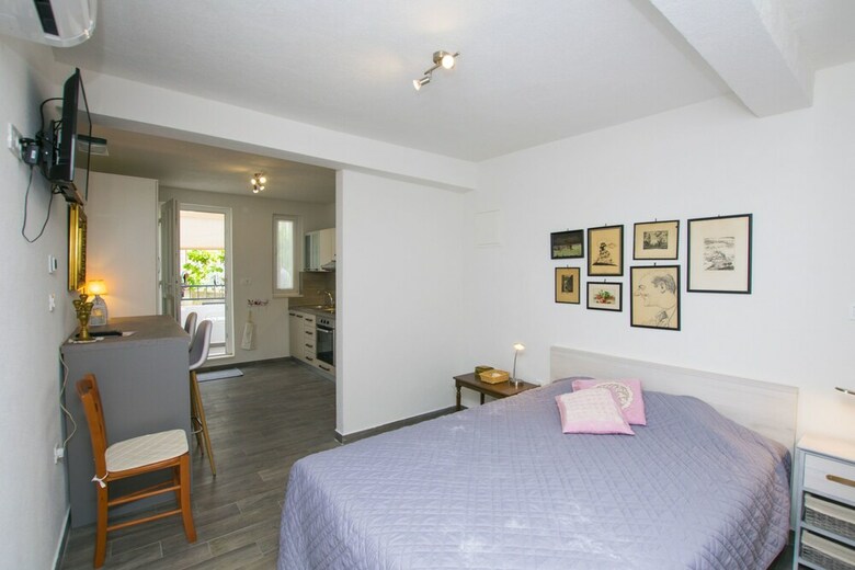 Apartment Sne?ana