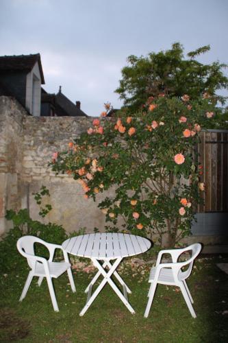 Bed & Breakfast Notes Florales