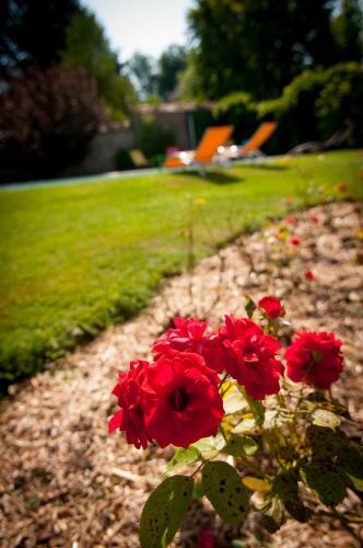 Bed & Breakfast Au Puy Des V�rit�s
