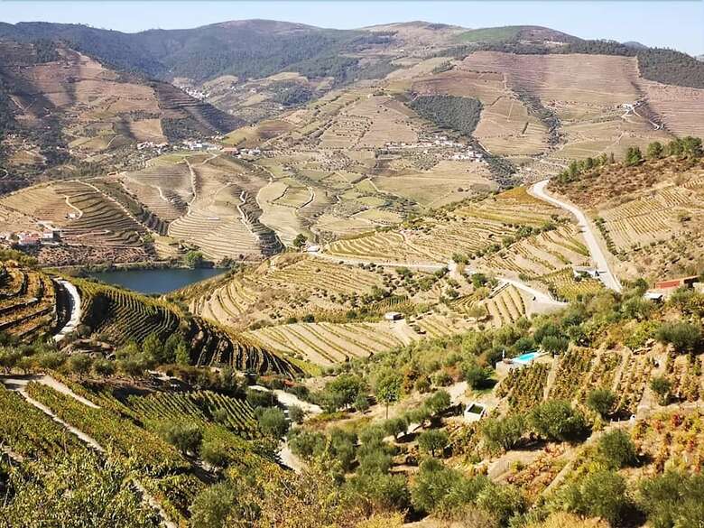 Quinta Das Fontainhas - Douro Valley