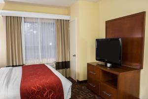 Hotel Comfort Suites Near The Galleria