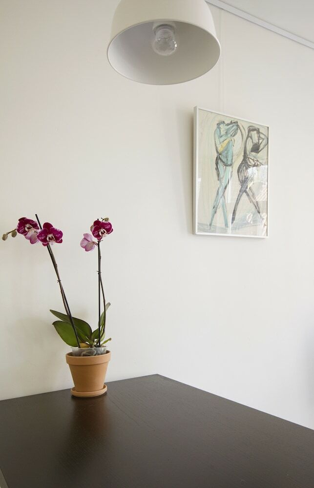 Bright & Great Apartment In Jordaan Area