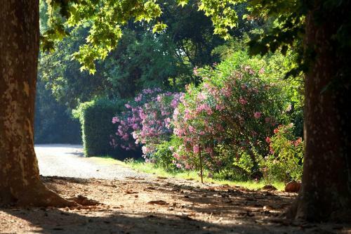 Bed & Breakfast Chateau De Saint Martin