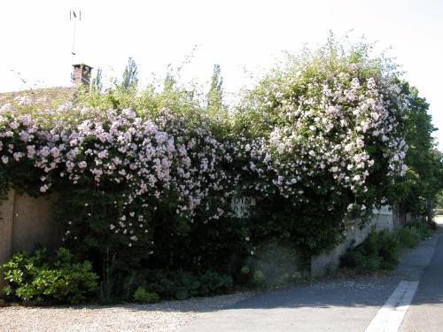 G�tes Du Jardin Francais
