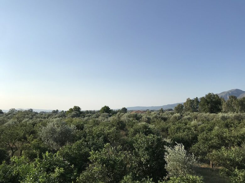 Hotel Taygetos