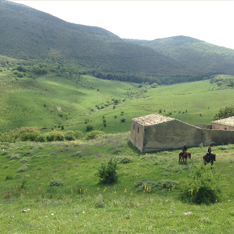 Agroturismo Azienda Agricola Traina