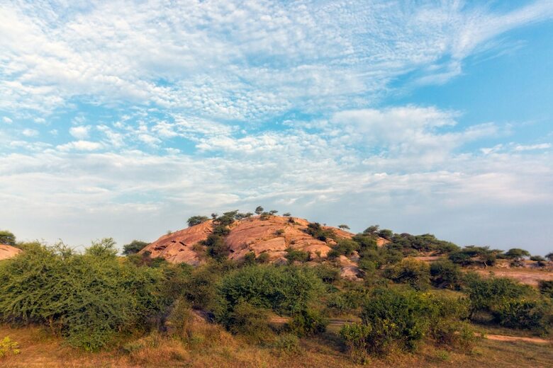 Apartamento Varawal Jawai Leopard Safari Camp