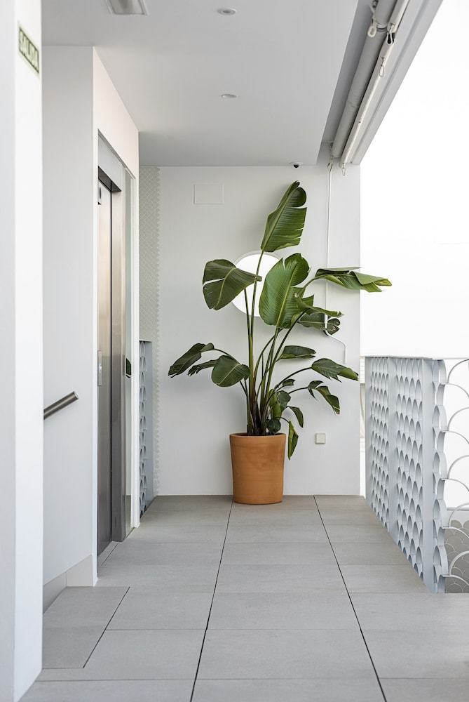 Apartamentos Conil Home Suite