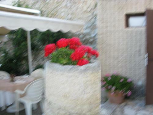 Hotel Les Geraniums