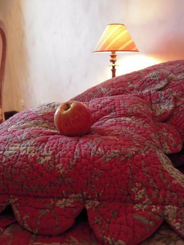 Bed & Breakfast Les Demoiselles De Ladoix