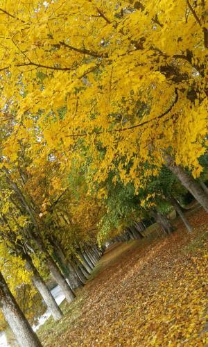 Bed & Breakfast Ch�teau De Serrigny