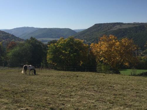 Bed & Breakfast La Ferme De Vazerat