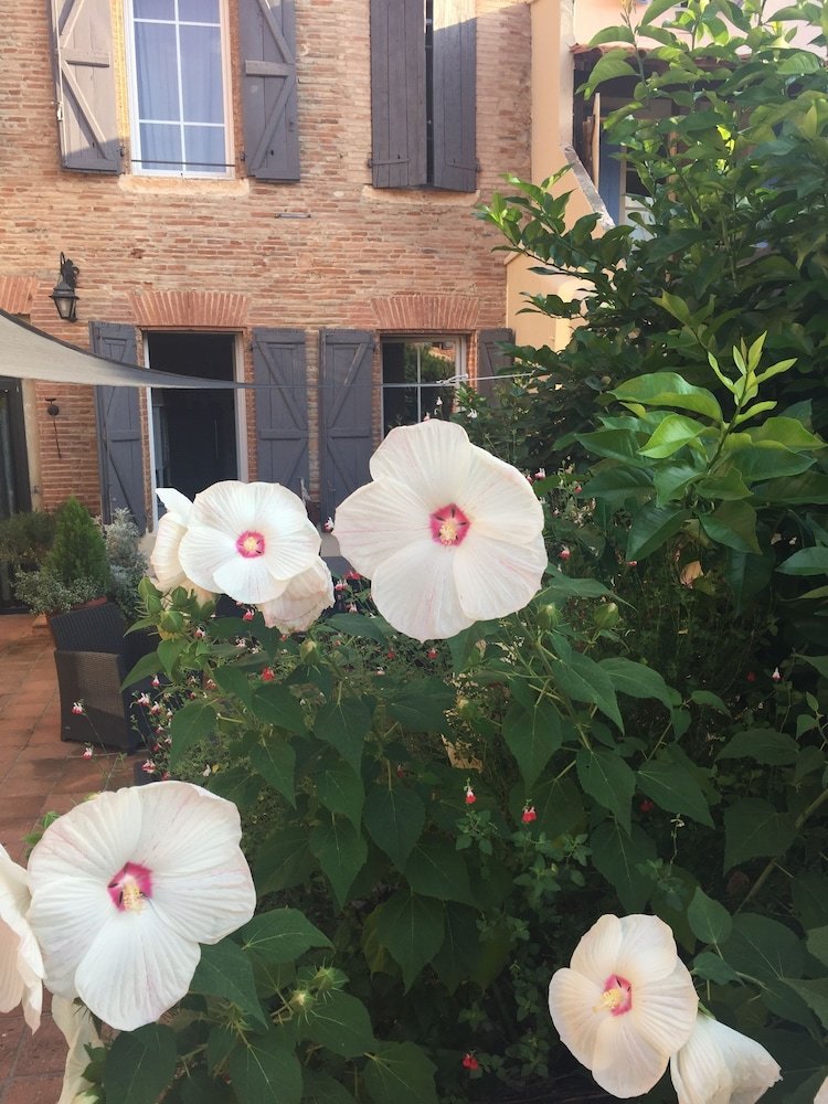 Bed & Breakfast Maison D'hotes Delga
