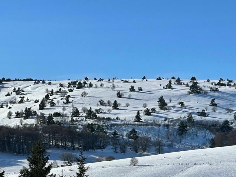Hostal Jasserie Les Airelles