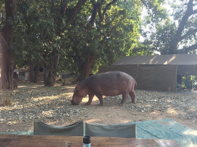 Mwinilunga Safaris
