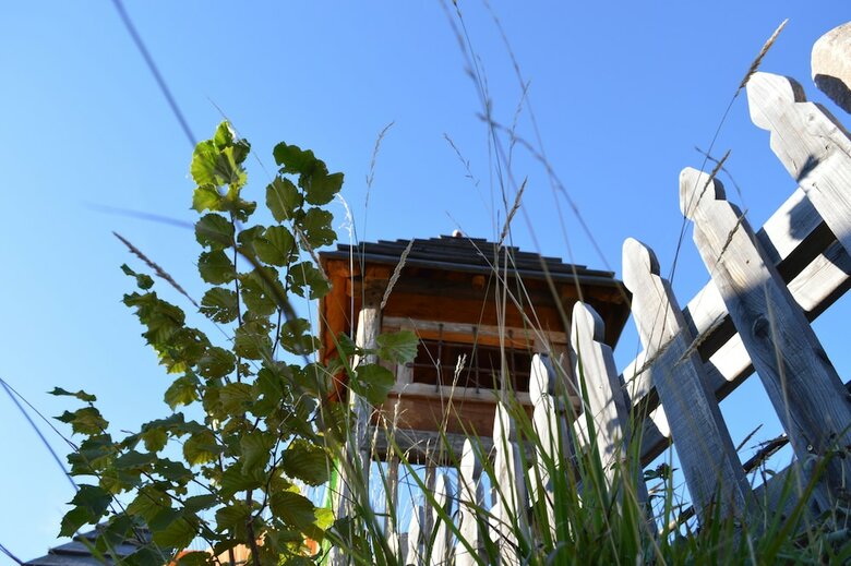 Agroturismo Agriturismo Alpenvidehof