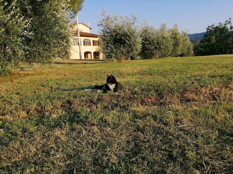 Apartamento Casa Pancole