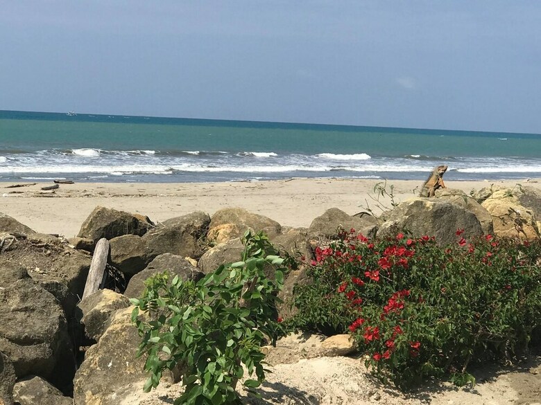 Jama Paradise